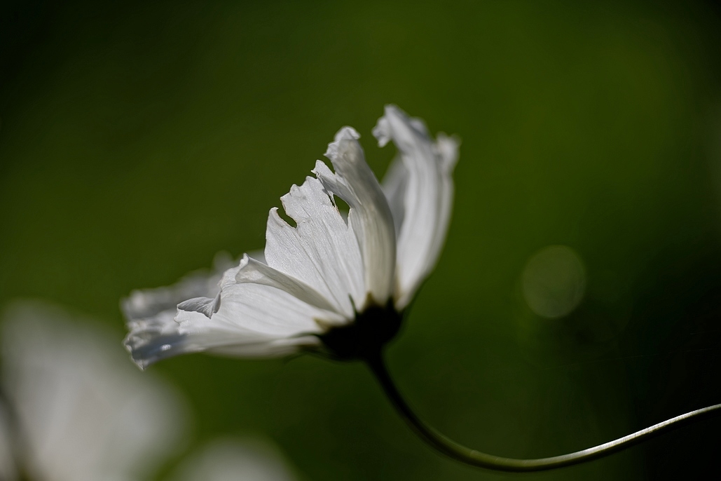 DSC_2680_DxO.jpg