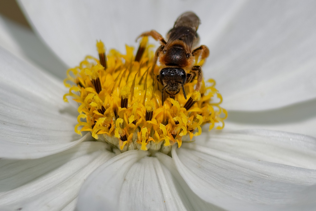 DSC_2690_DxO.jpg