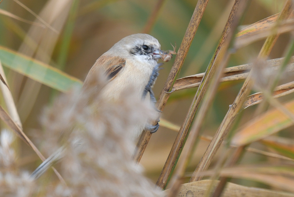 DSC_7679.JPG