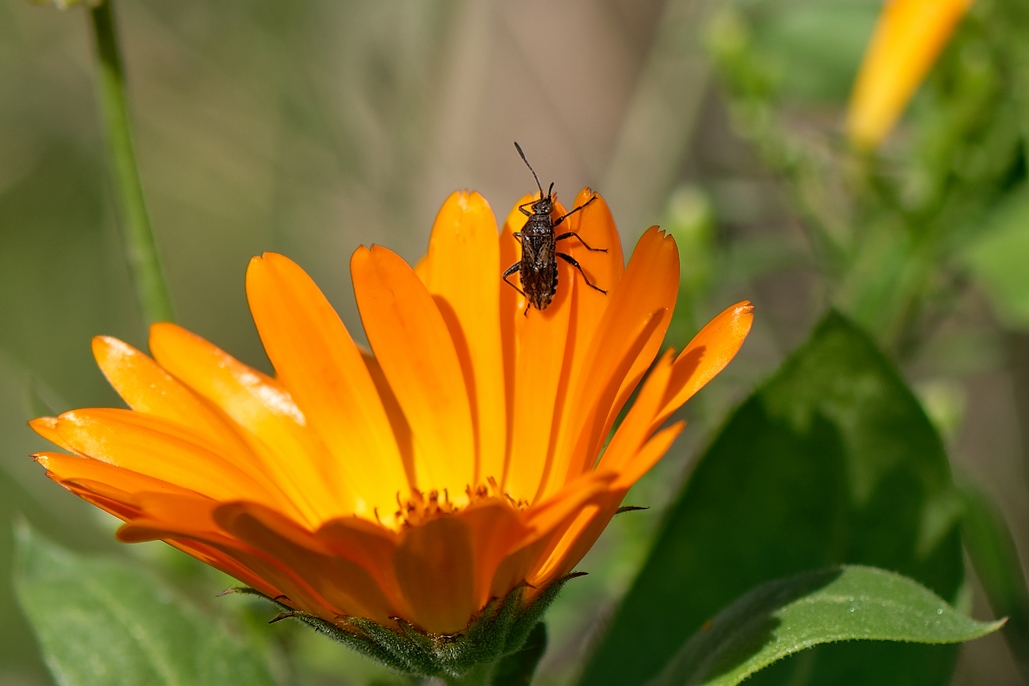 DSC_2751_DxO.jpg