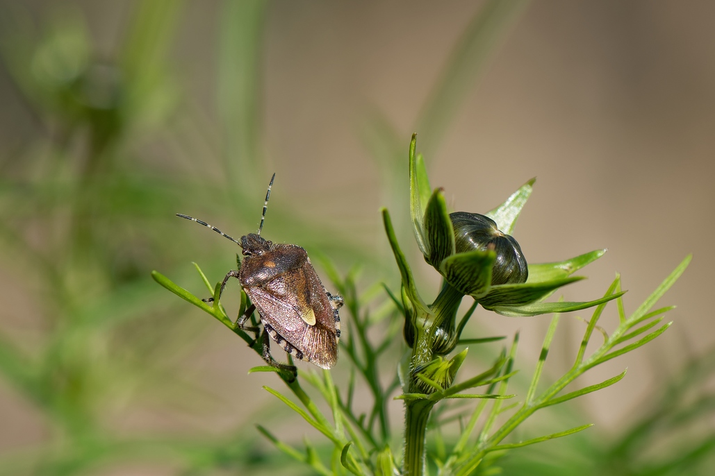 DSC_2758_DxO.jpg