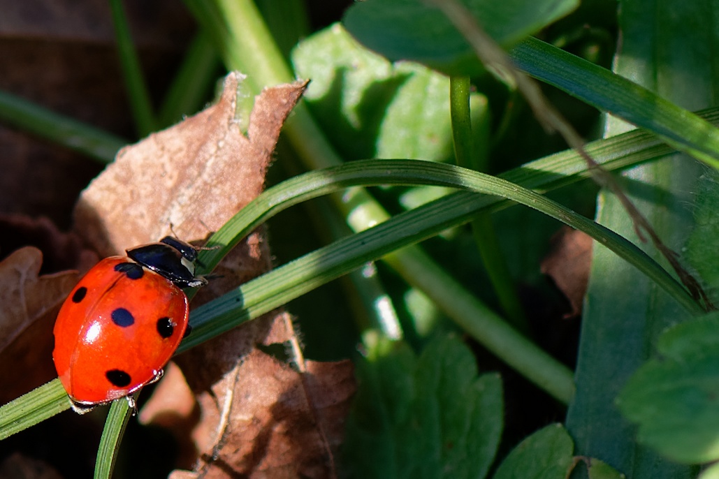DSC_2779_DxO.jpg