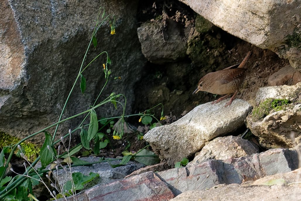 DSC_2877_DxO.jpg