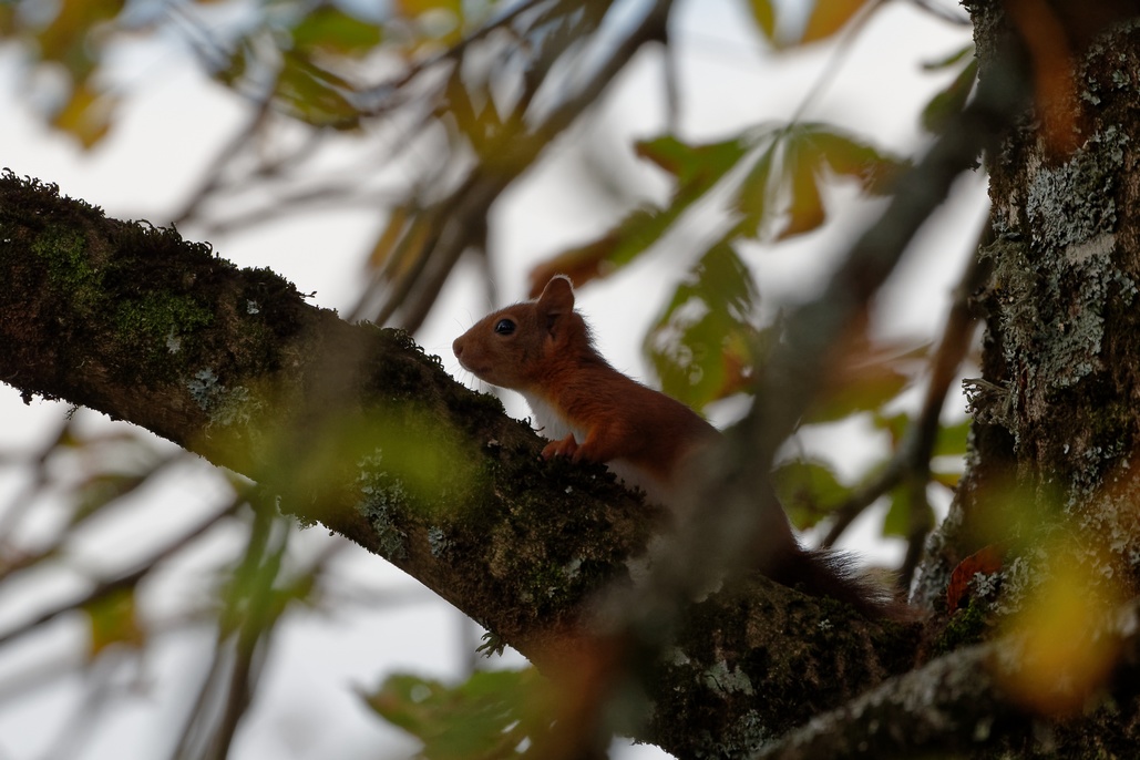 DSC_2885_DxO.jpg