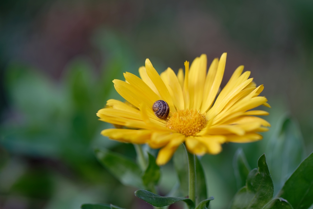 DSC_2931_DxO.jpg
