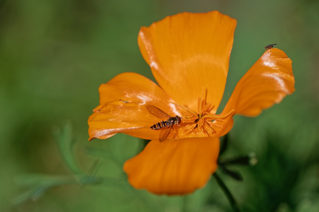DSC_2959_DxO.jpg