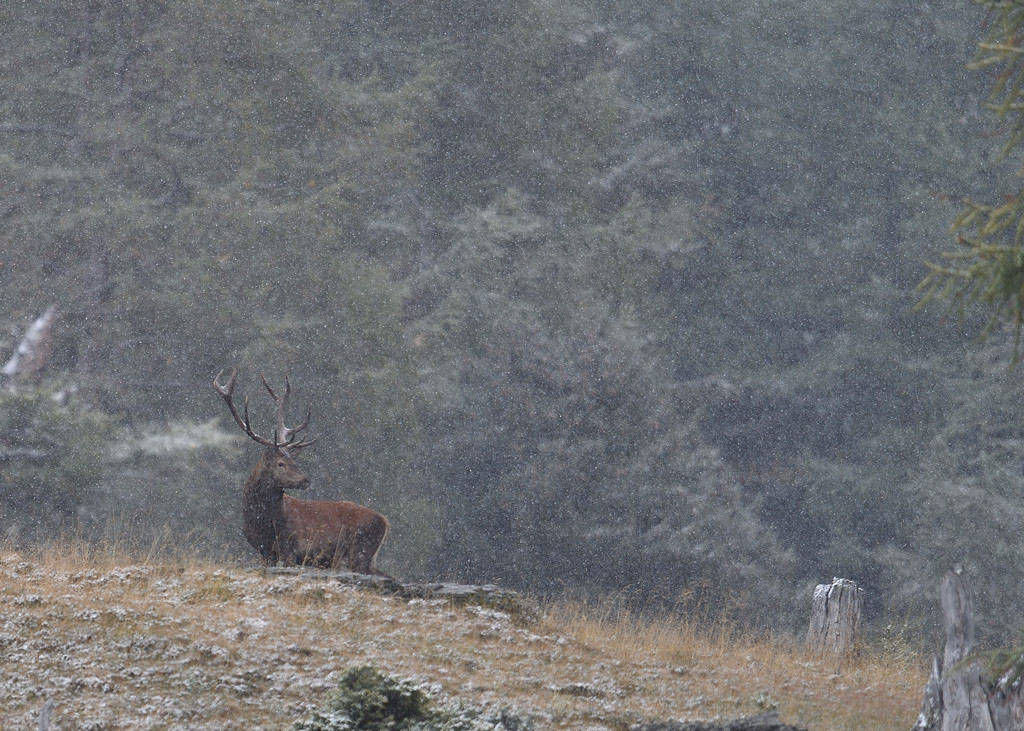DS5_1237.jpg