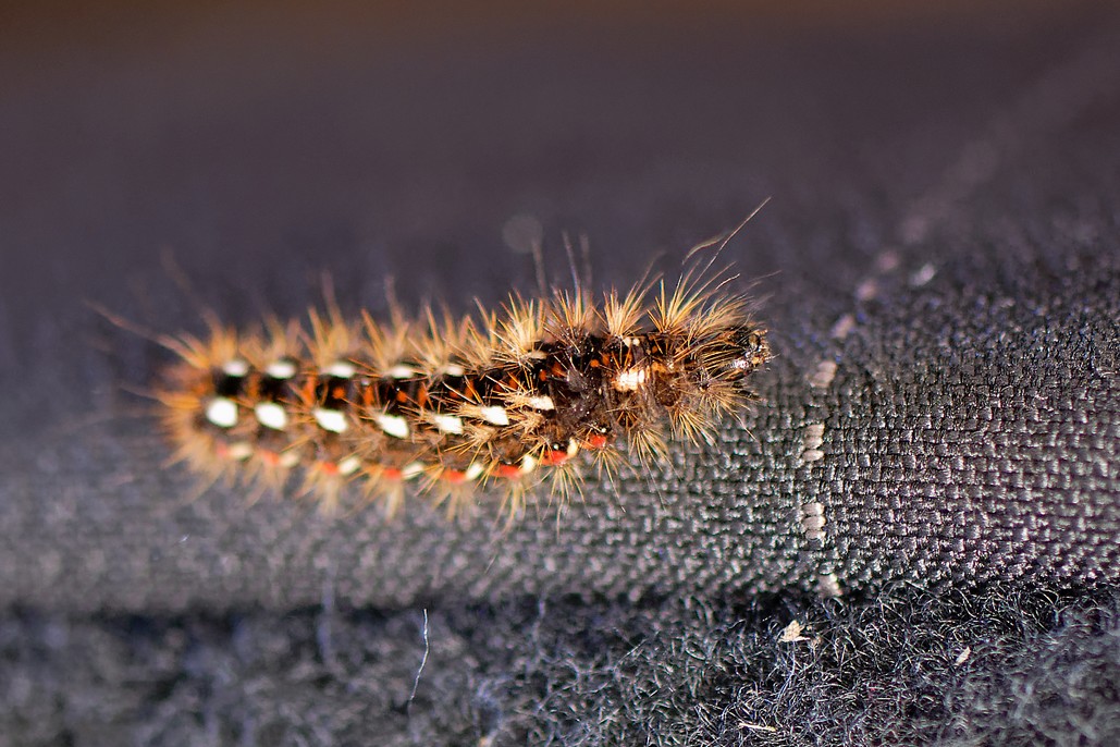 DSC_3002_DxO.jpg