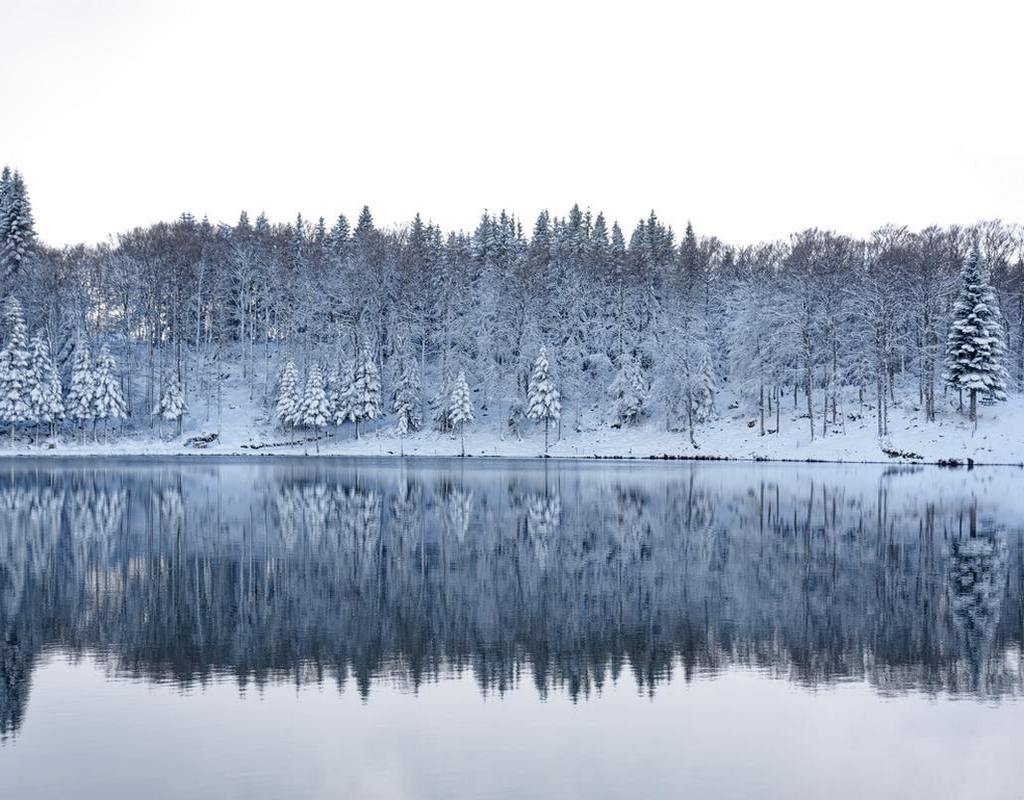 lac d'Auvergne.jpg