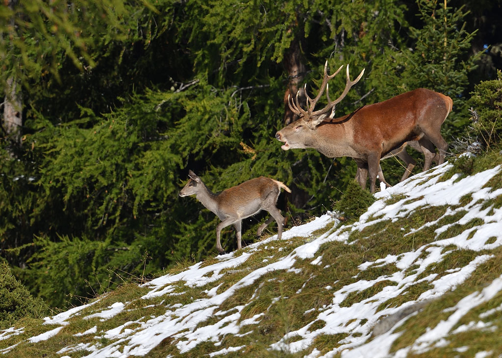DS5_1387.jpg