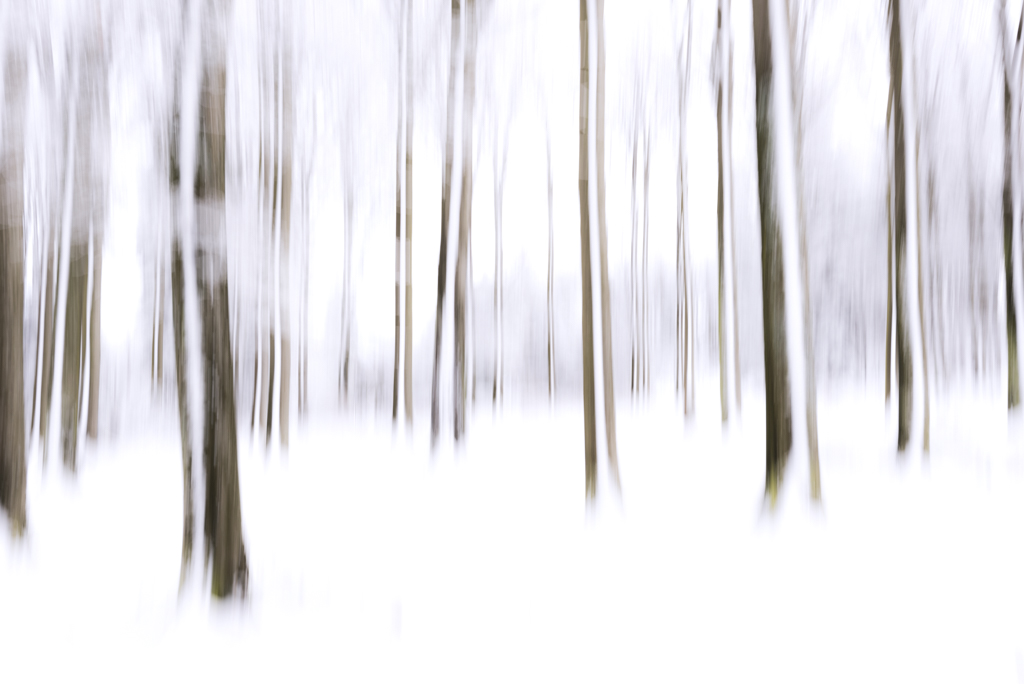 Paysage-hiver-Marc-Albrecht-3.jpg