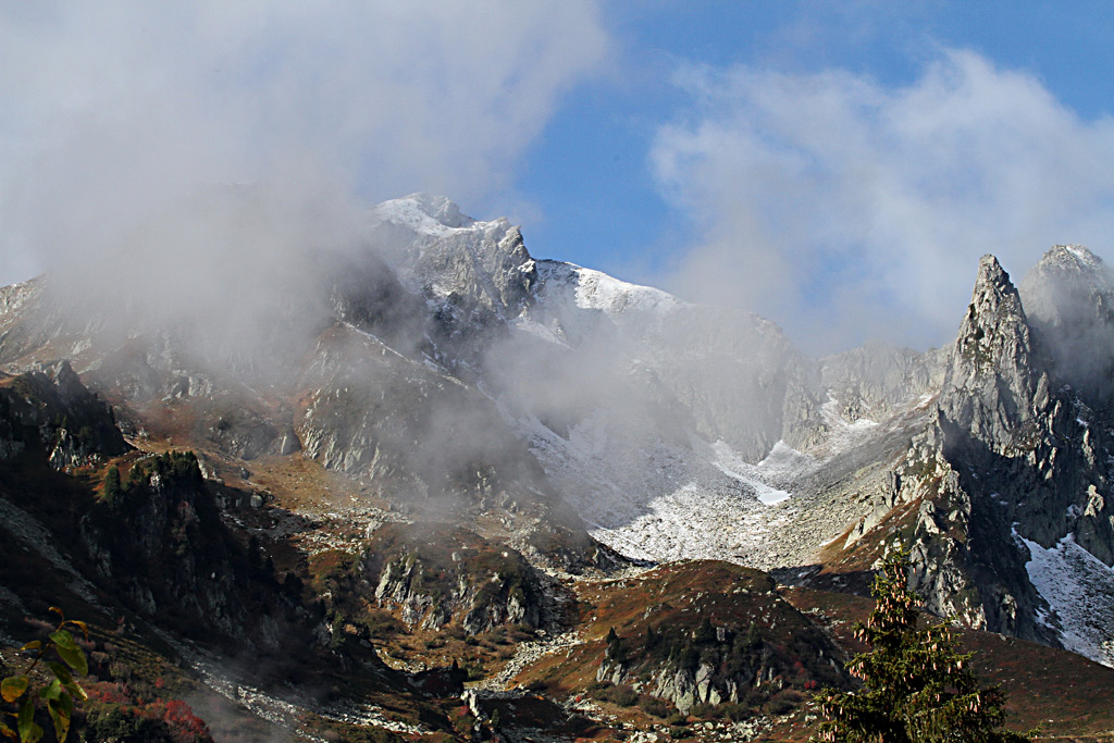 IMG_0156-IN.jpg