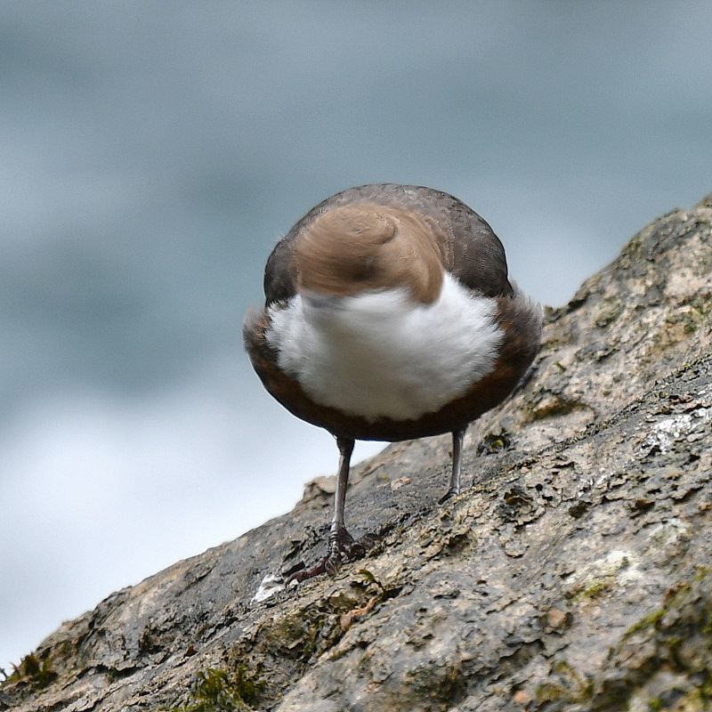 DSC_3114.JPG