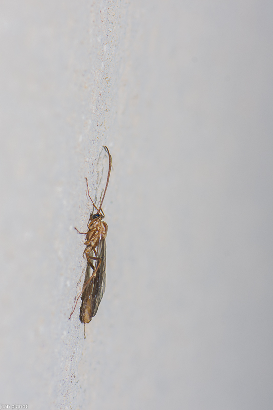 10112020-DSC_2615.jpg