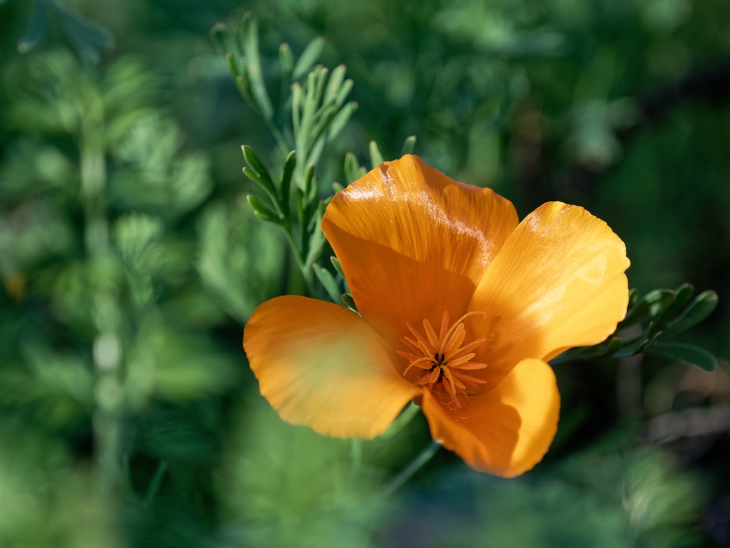 DSC_3091_DxO.jpg