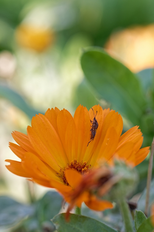 DSC_3117_DxO.jpg