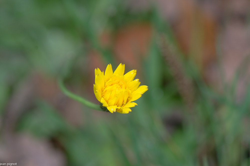 13112020-DSC_2662.jpg