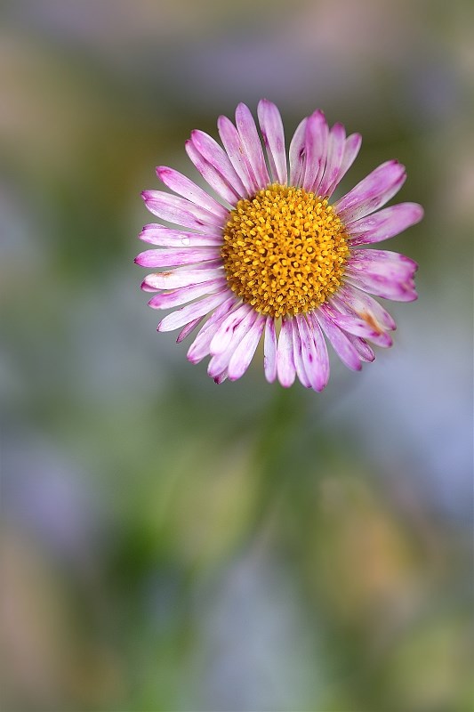 DSC_6422.jpg