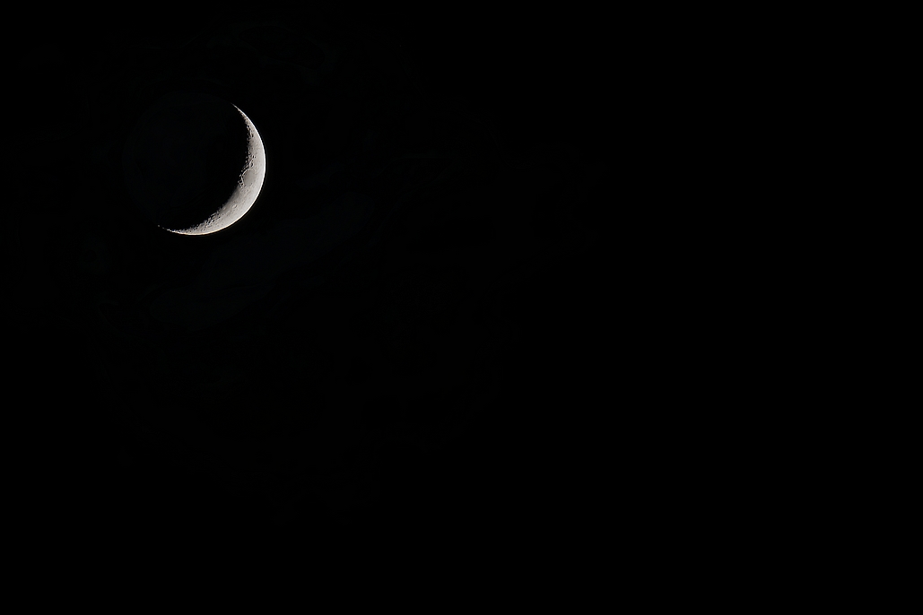 DSC_3153_DxO.jpg