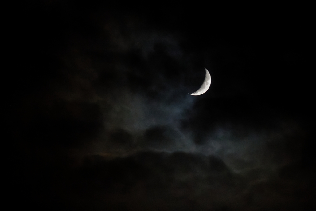 DSC_3158_DxO.jpg