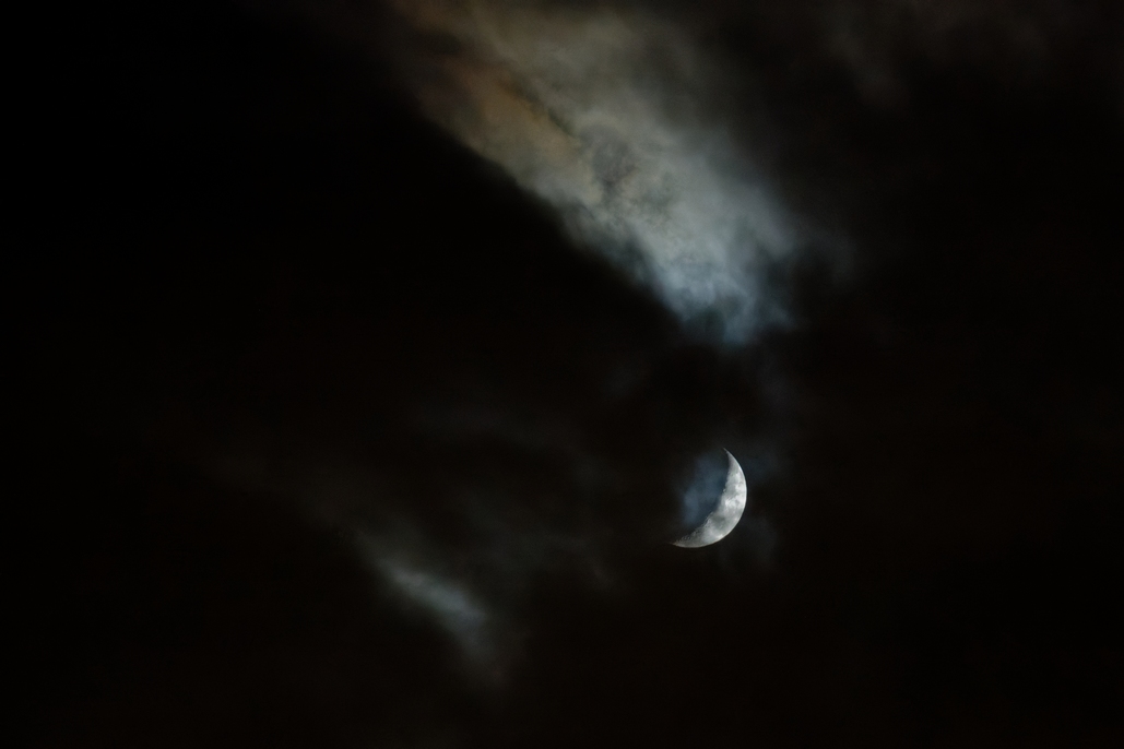 DSC_3163_DxO.jpg
