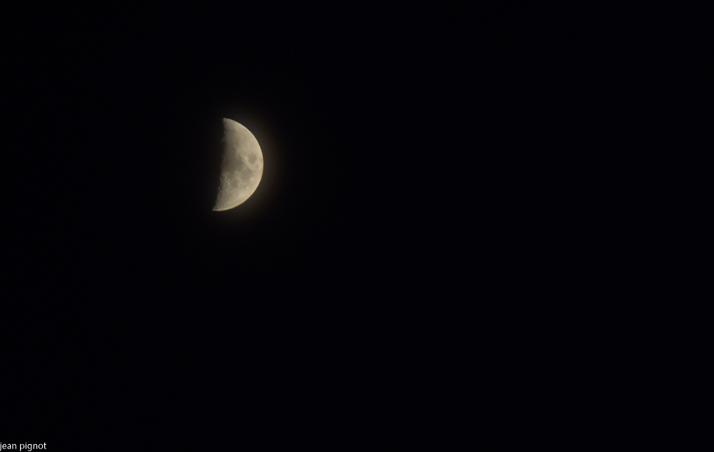 21112020-DSC_6641.jpg