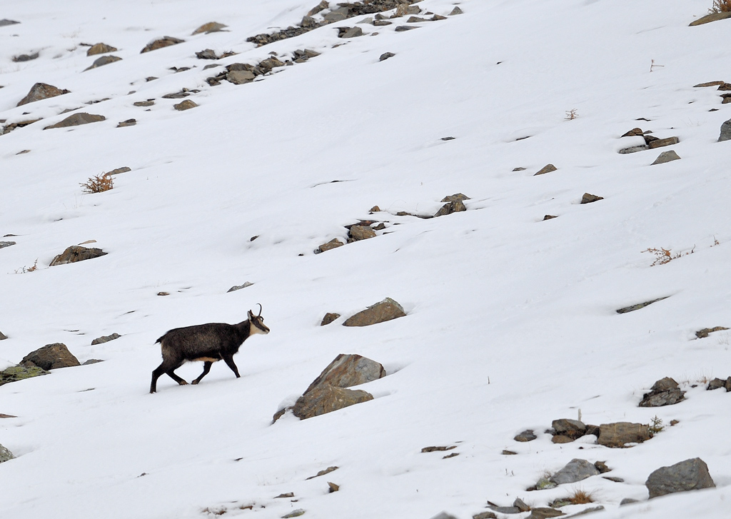 DS5_2961.jpg