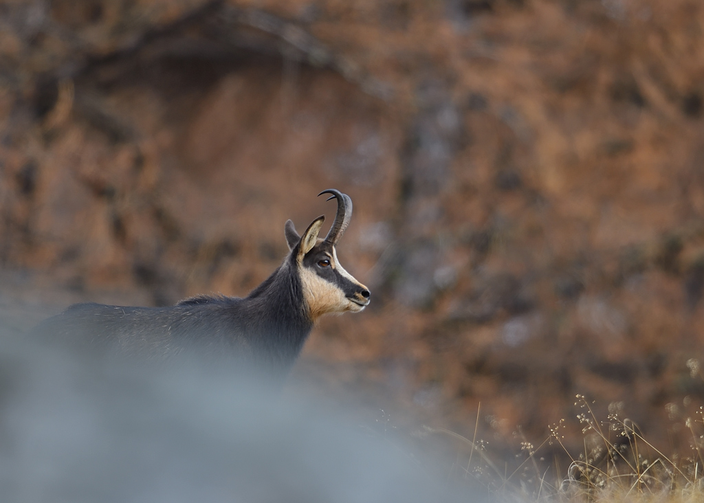 DS5_2997.jpg