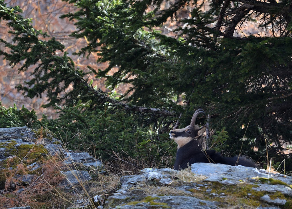 DS5_3004.jpg