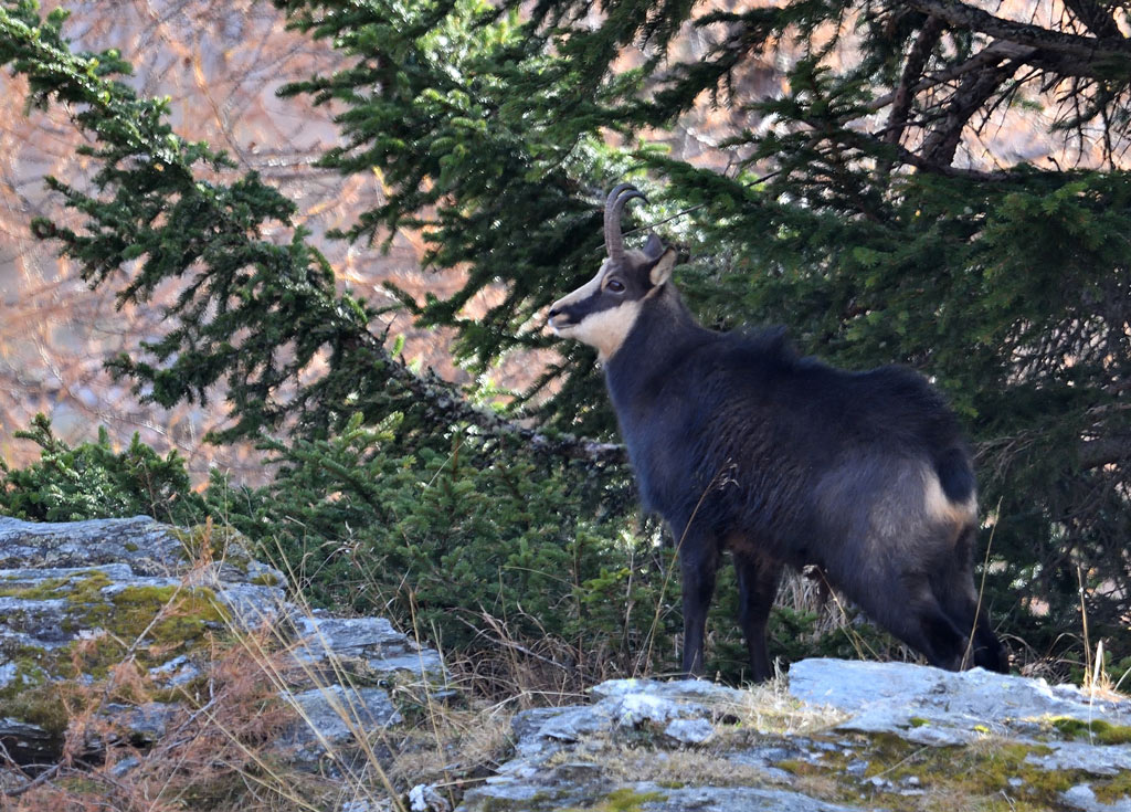 DS5_3010.jpg