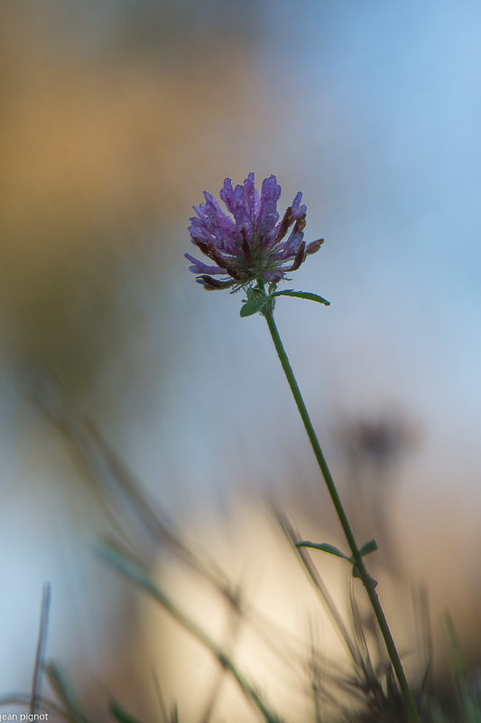 20112020-DSC_2689.jpg