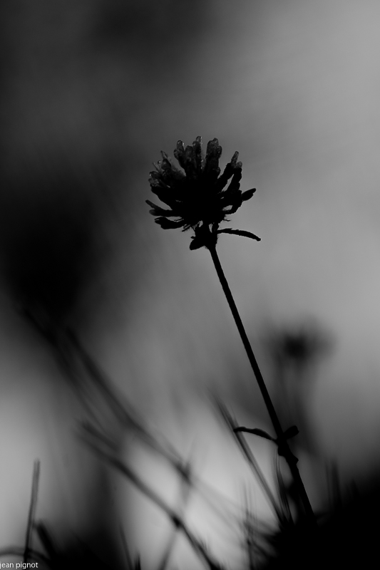 20112020-DSC_2689.jpg
