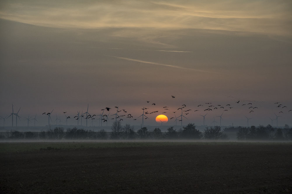 lever de soleil sur la Coole 1000.jpg