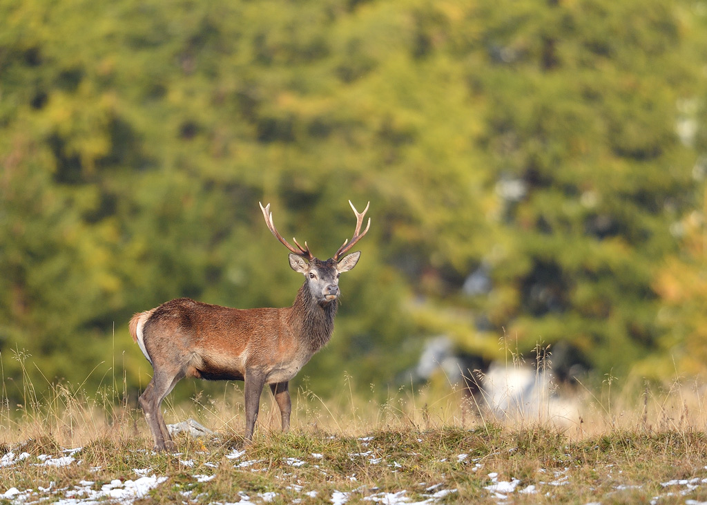 DS5_2436.jpg