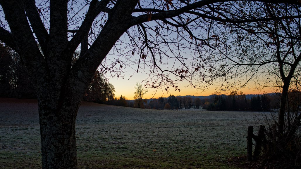 DSC_3248_DxO.jpg