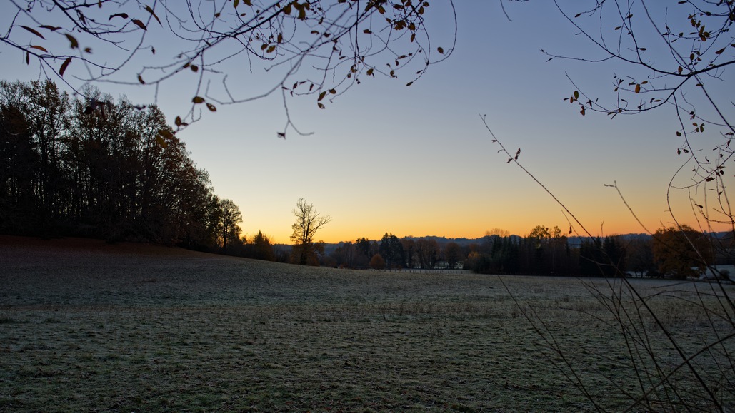 DSC_3251_DxO.jpg