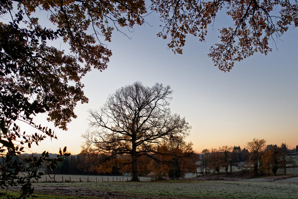 DSC_3255_DxO.jpg