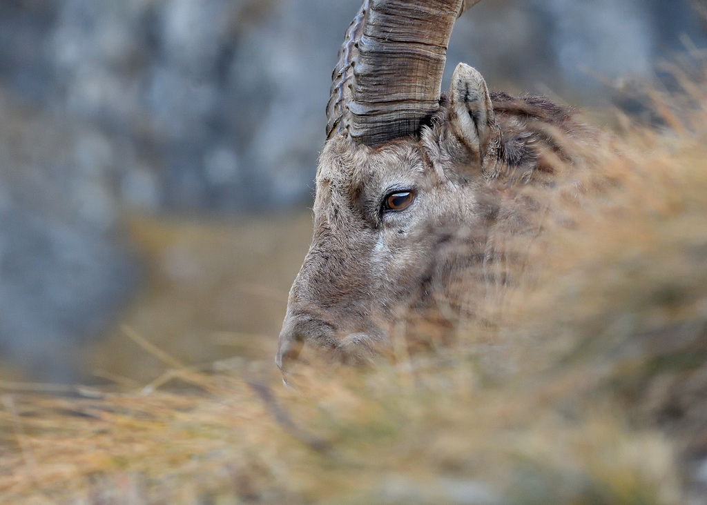 DS5_3080.jpg