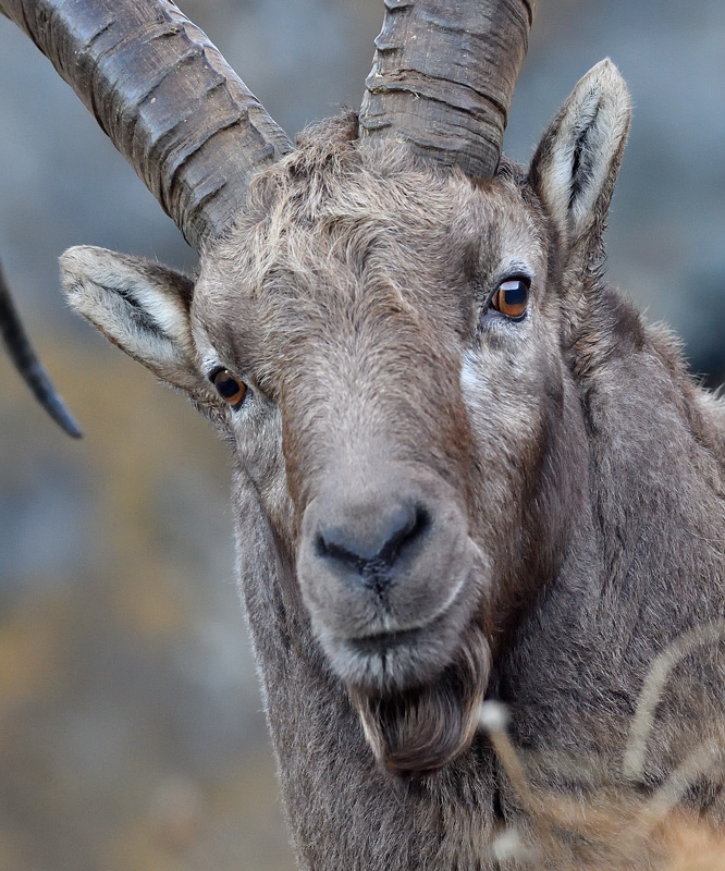 DS5_3083.jpg