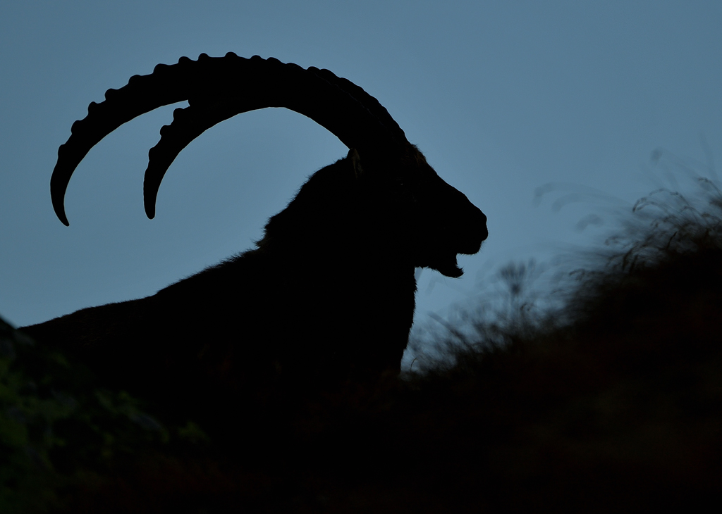 DS5_3089.jpg