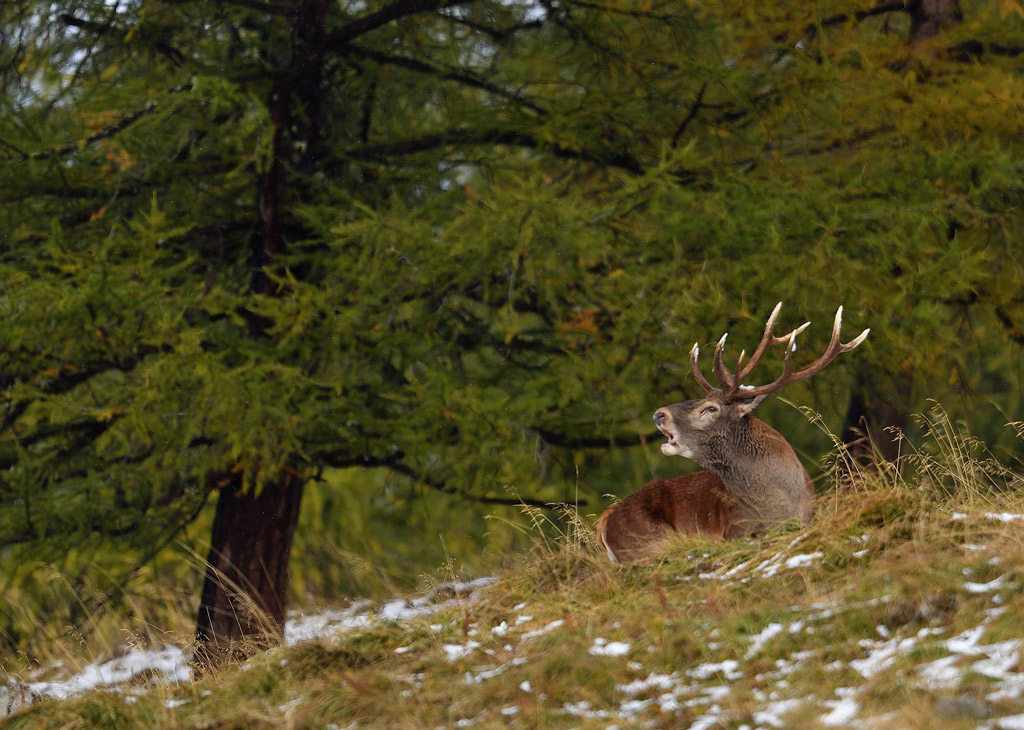 DS5_2350.jpg