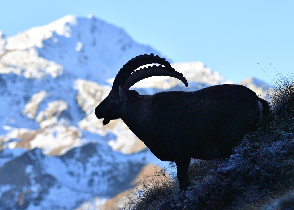 DS5_3125.jpg