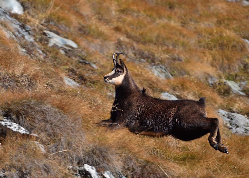 DS5_3128.jpg