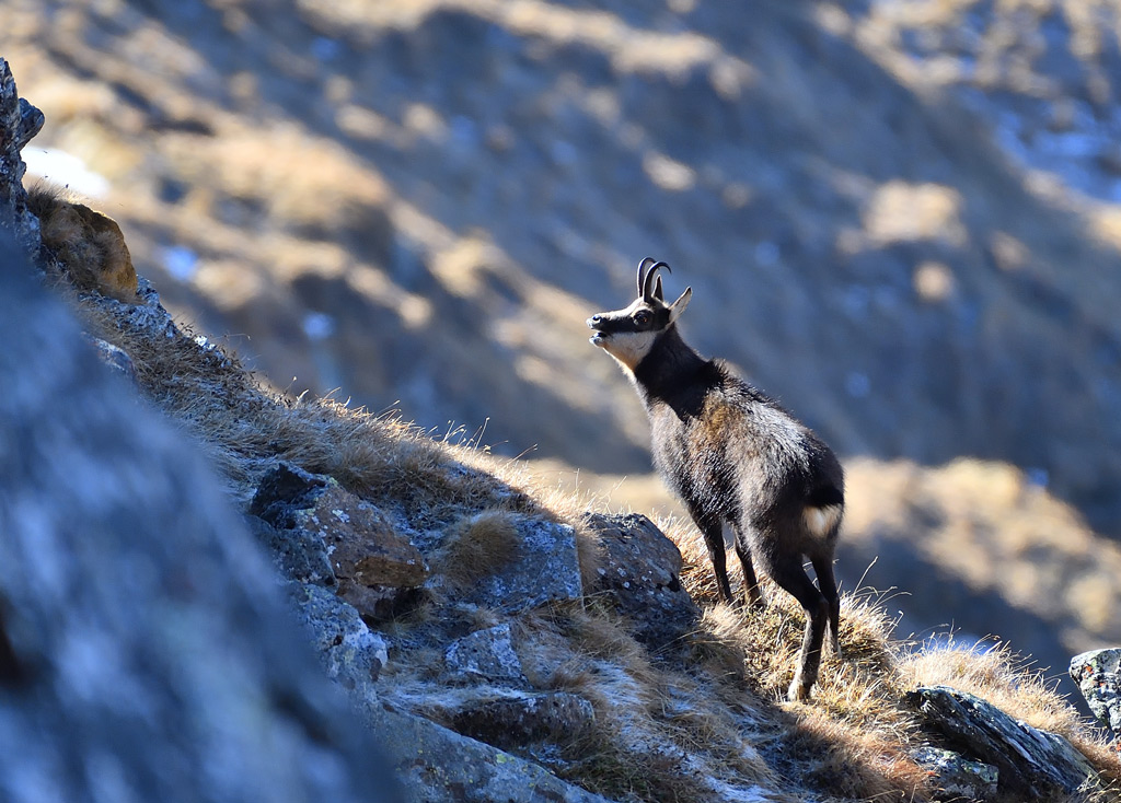 DS5_3146.jpg