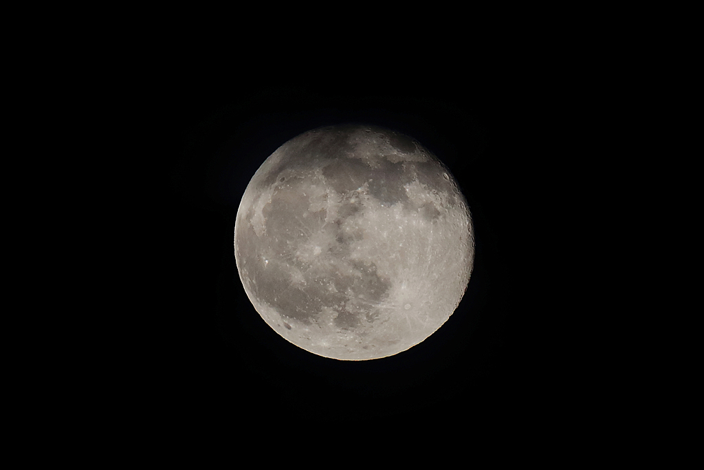 C57I1427 IN.jpg