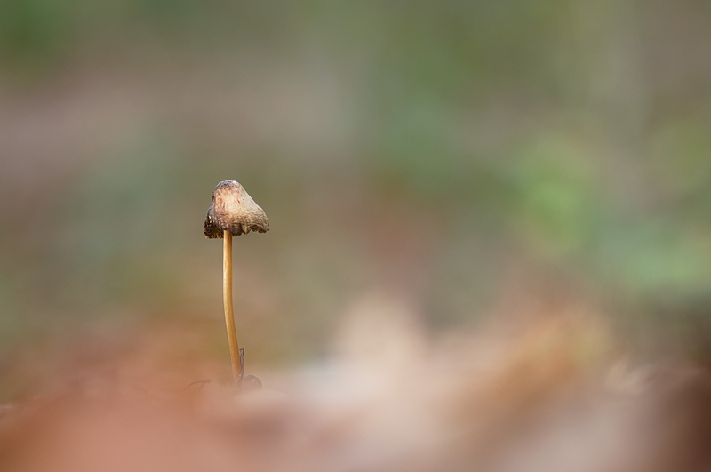 DSC_0143.jpg