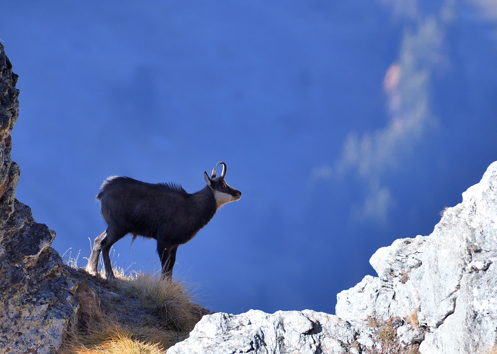 DS5_3167.jpg