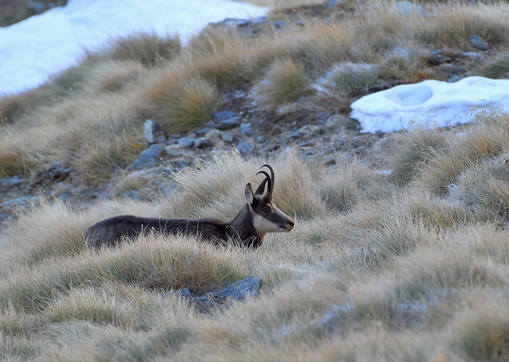 DS5_3172.jpg