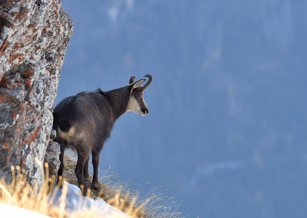 DS5_3181.jpg