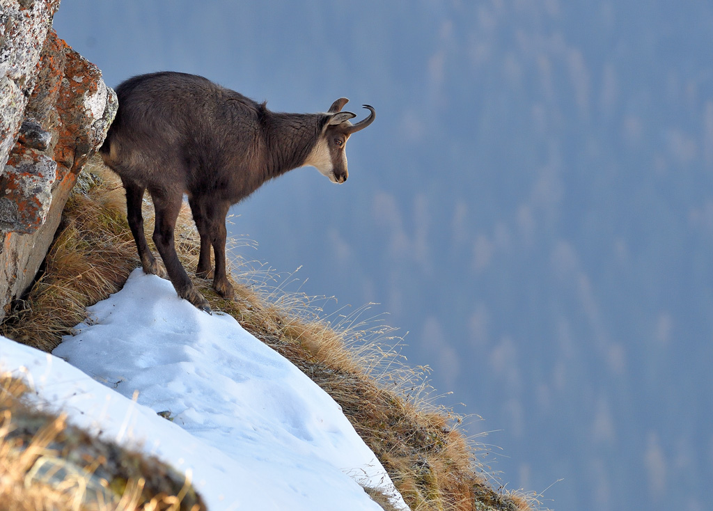DS5_3186.jpg